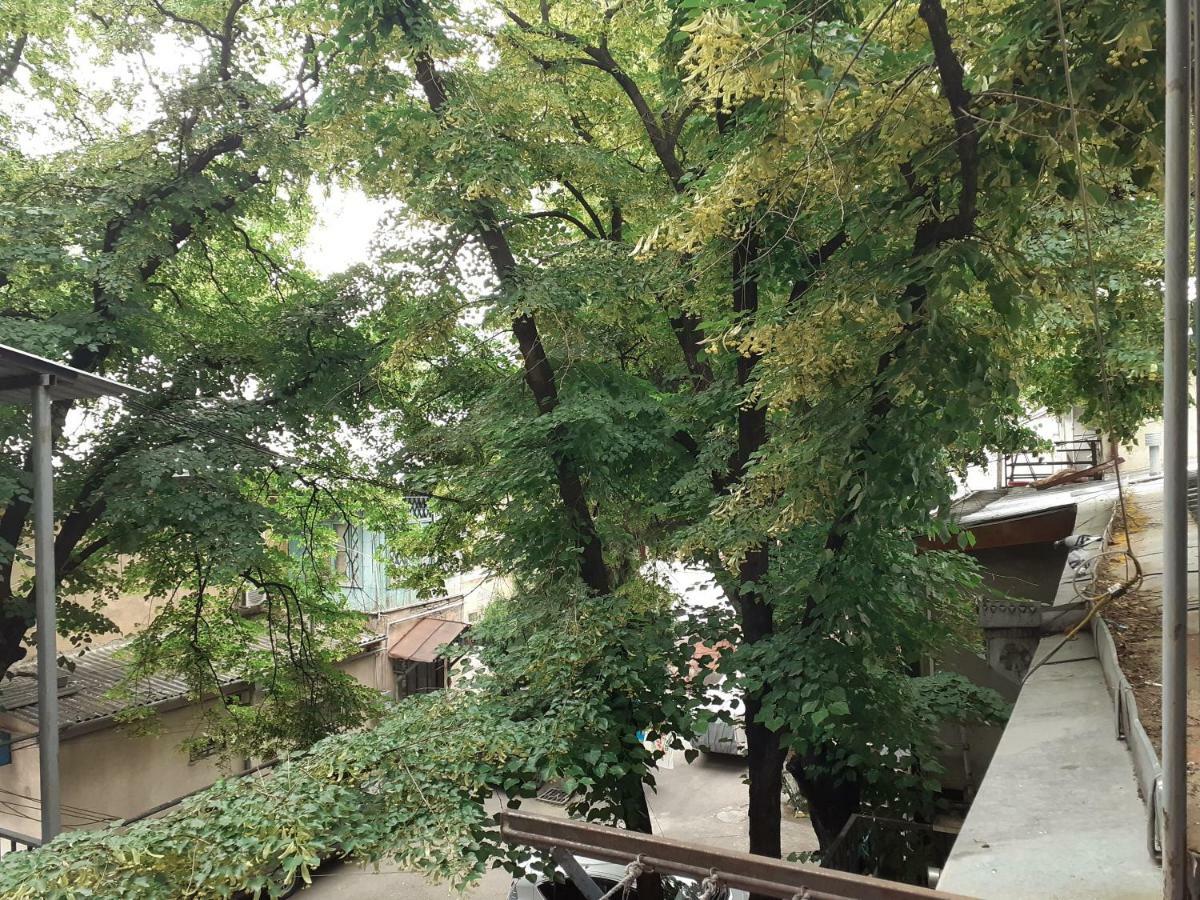 Woodmood Hostel 第比利斯 外观 照片